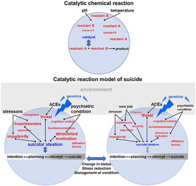 Frontiers Catalytic Reaction Model Of Suicide